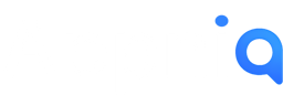 Appniq Logo